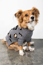 Load image into Gallery viewer, SKULL CASHMERE Leopard Dog Sweater
