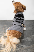 Load image into Gallery viewer, SKULL CASHMERE Leopard Dog Sweater
