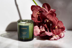 LUMIRA Nuit de Noel